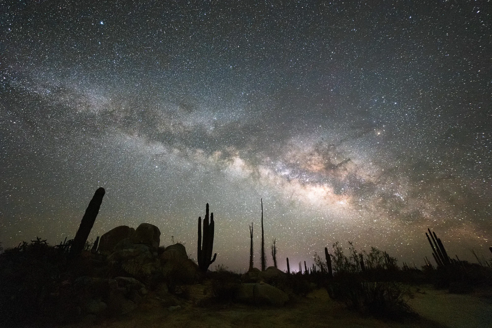 Un paisaje de rocas y cactus bajo el arco luminoso de la Vía Láctea.